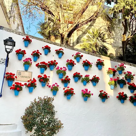 Villa Africa With Private Pool - Eaw Homes Marbella